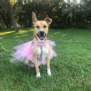 Meet your Posher, Samantha